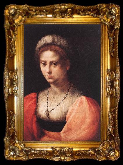 framed  Domenico Puligo Portrait of a Lady, ta009-2